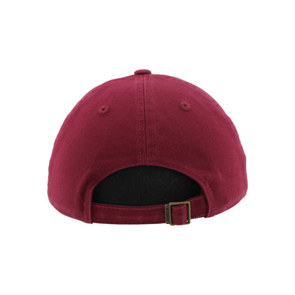 Goatheads Primary Desert Red Dad Hat